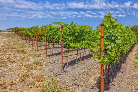 1450 Stage Gulch Road Petaluma CA 94954