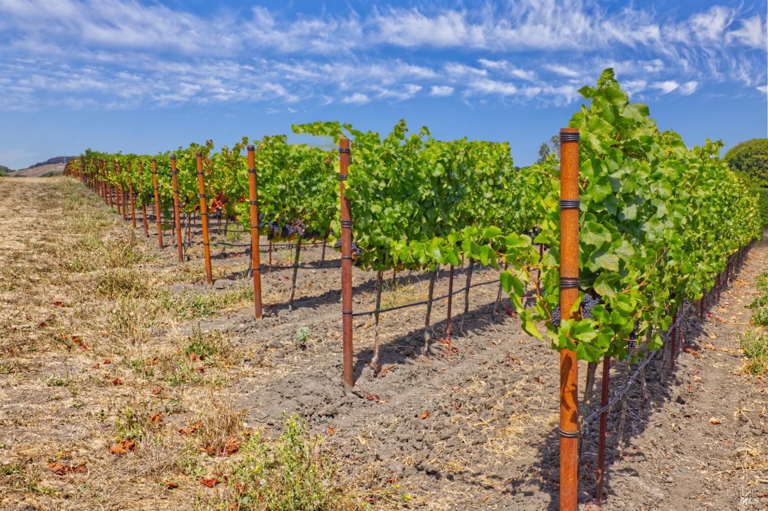 1450 Stage Gulch Road Petaluma CA 94954
