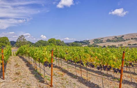 1450 Stage Gulch Road Petaluma CA 94954