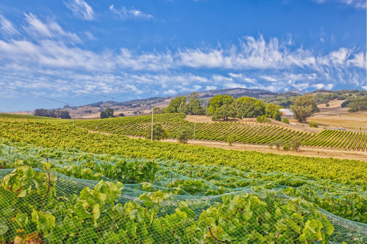 1450 Stage Gulch Road Petaluma CA 94954