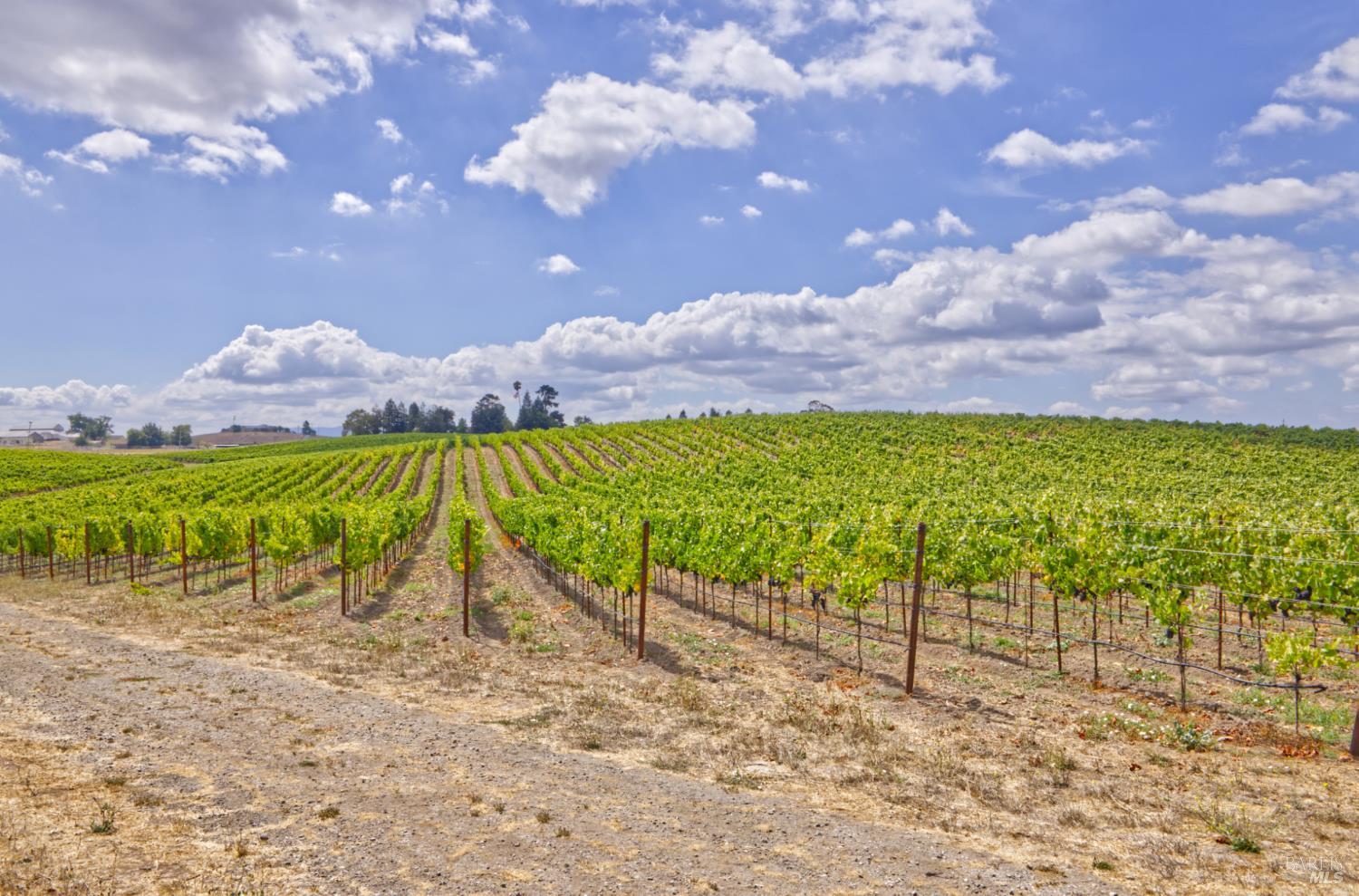 1450 Stage Gulch Road Petaluma CA 94954