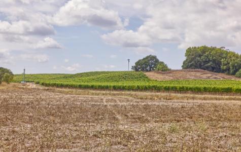 1450 Stage Gulch Road Petaluma CA 94954