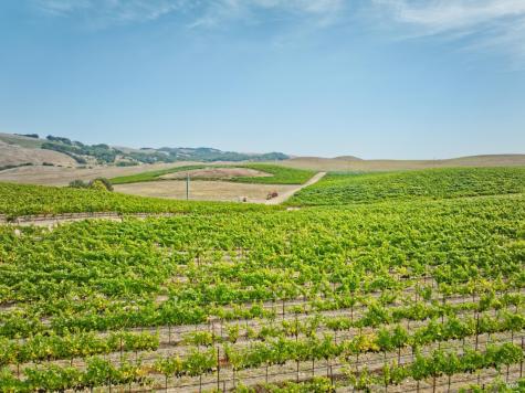 1450 Stage Gulch Road Petaluma CA 94954