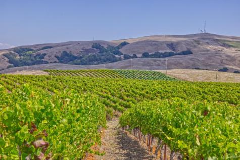 1450 Stage Gulch Road Petaluma CA 94954