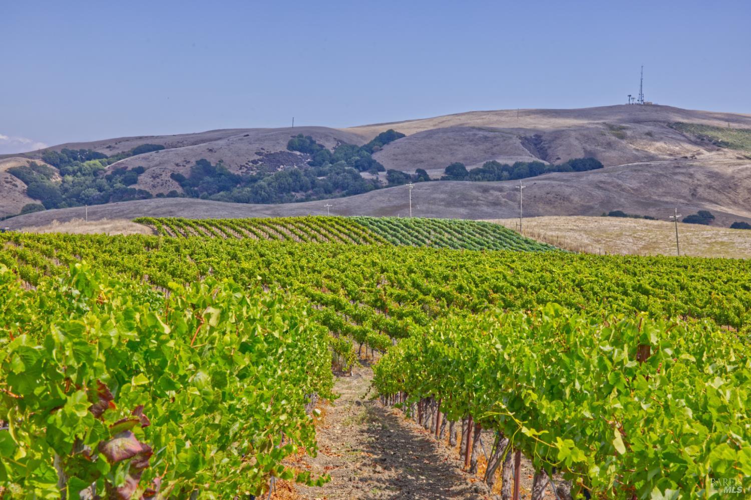 1450 Stage Gulch Road Petaluma CA 94954