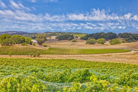 1450 Stage Gulch Road Petaluma CA 94954