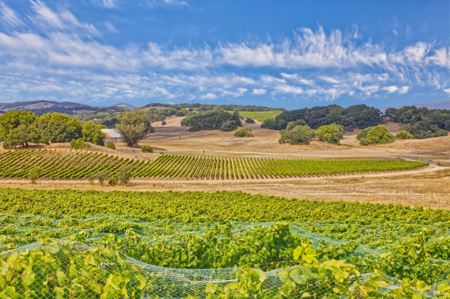 1450 Stage Gulch Road Petaluma CA 94954