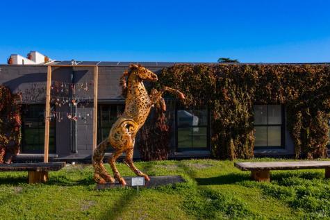 21020 Redwood Highway Geyserville CA 95441