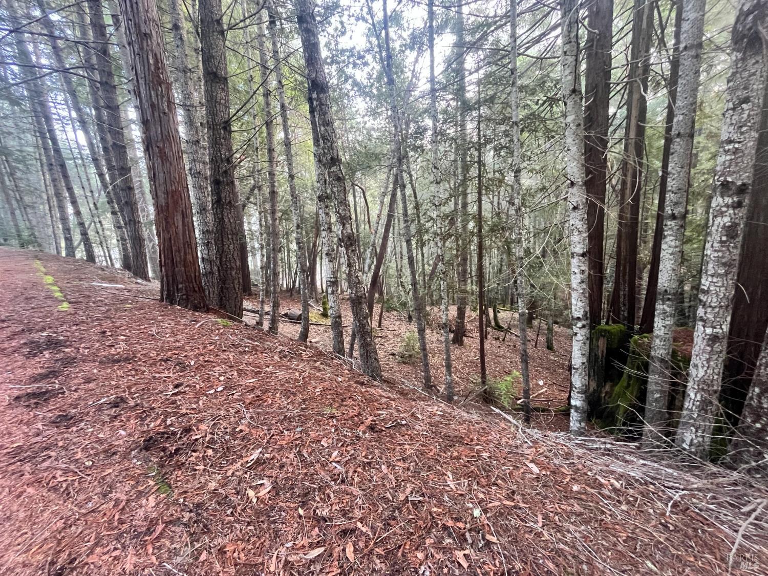 1451 Perch Way Willits CA 95490