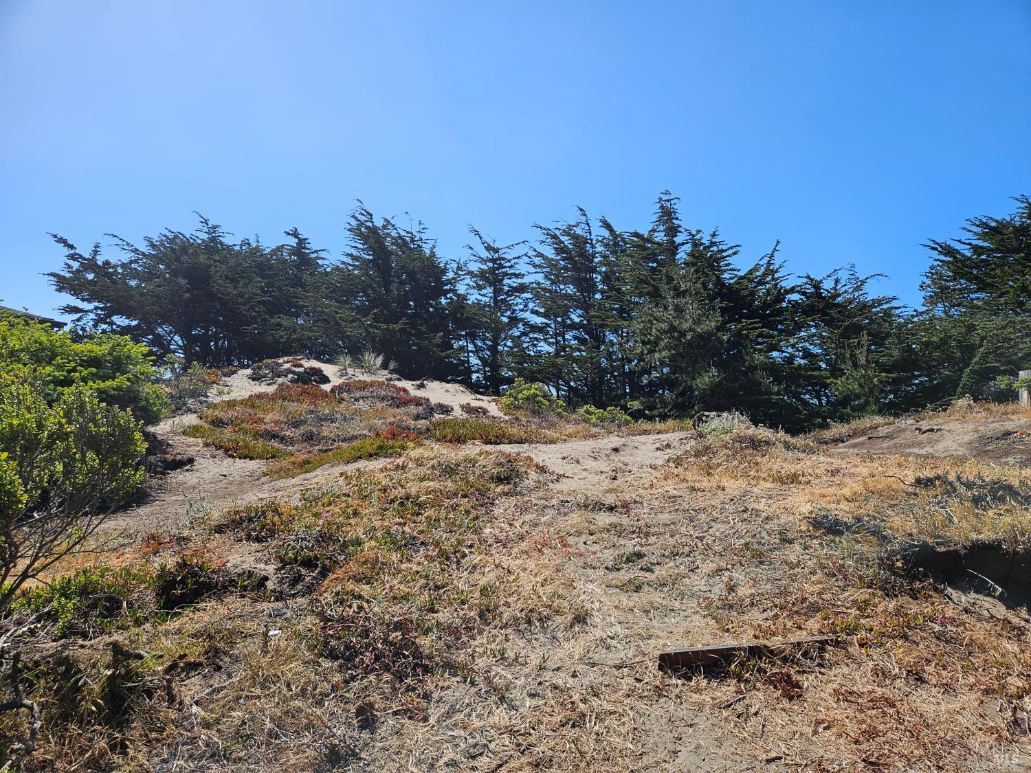 280 Driftwood Avenue Bodega Bay CA 94923