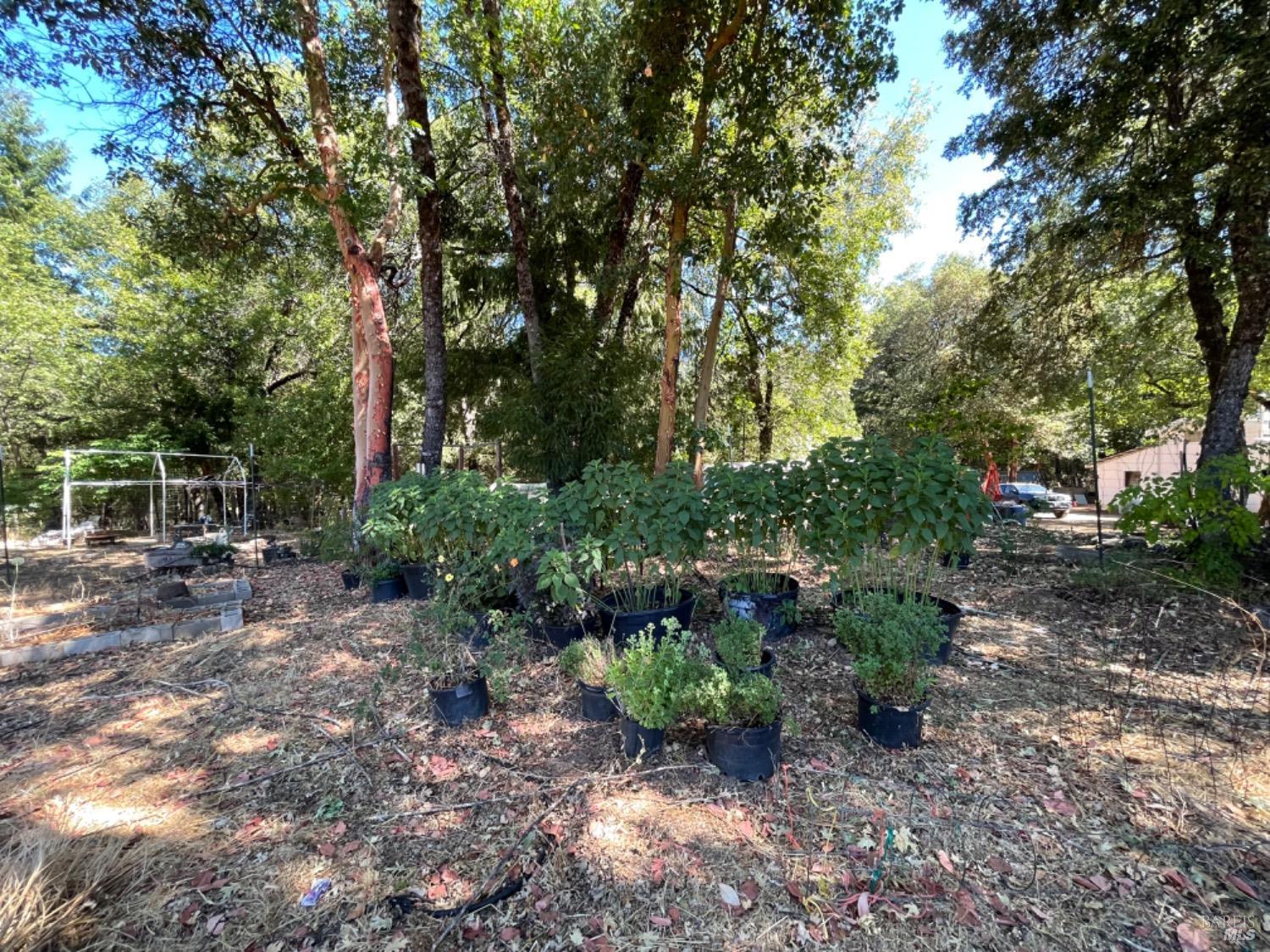 3490 Laytonville Dos Rios Road Laytonville CA 95454