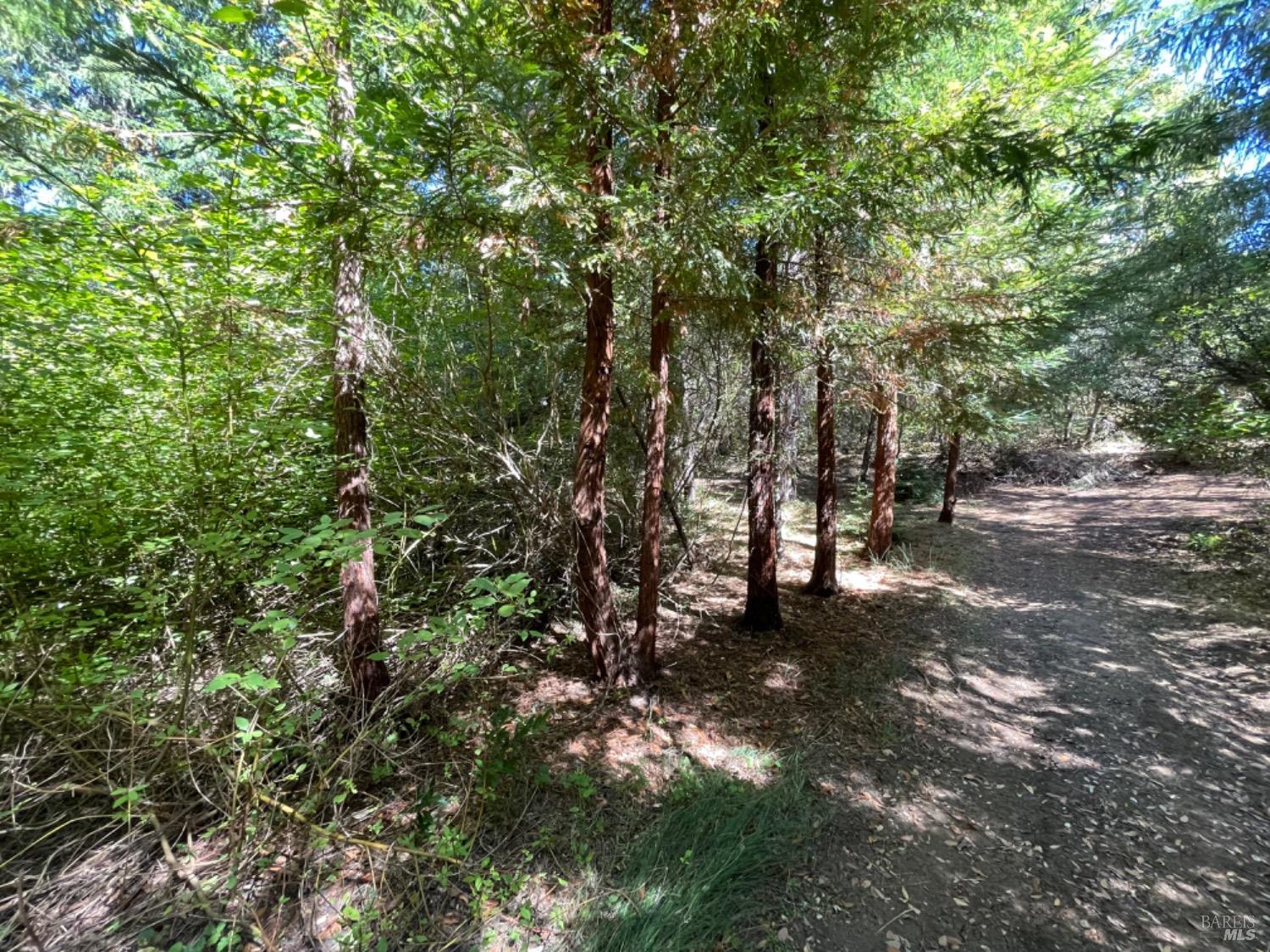 3490 Laytonville Dos Rios Road Laytonville CA 95454