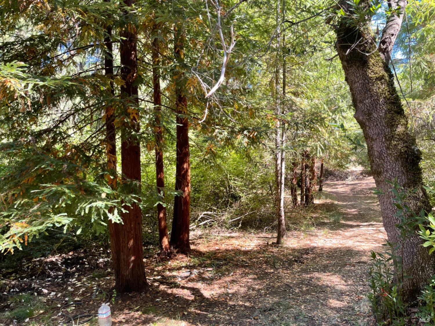 3490 Laytonville Dos Rios Road Laytonville CA 95454
