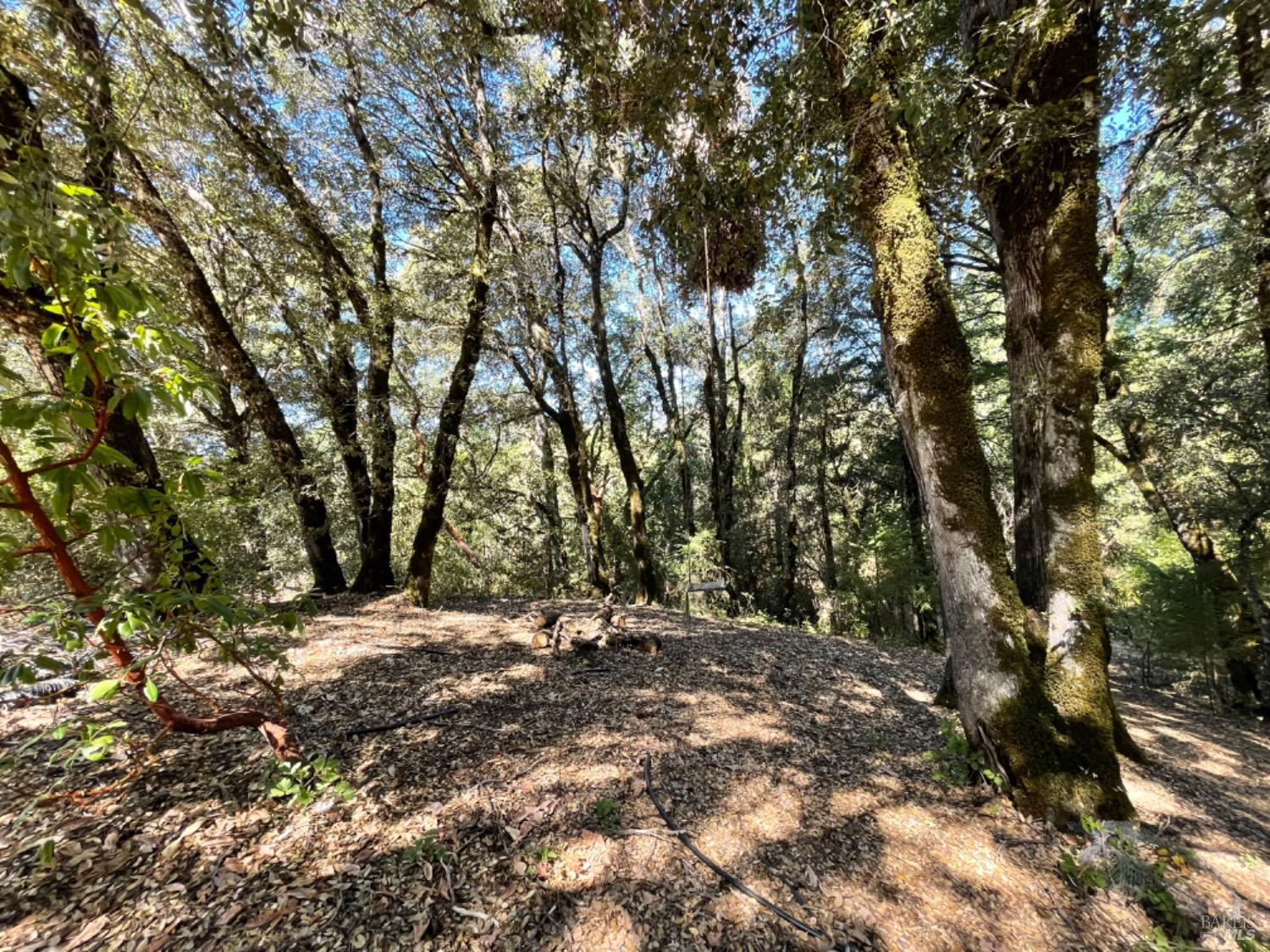 3490 Laytonville Dos Rios Road Laytonville CA 95454