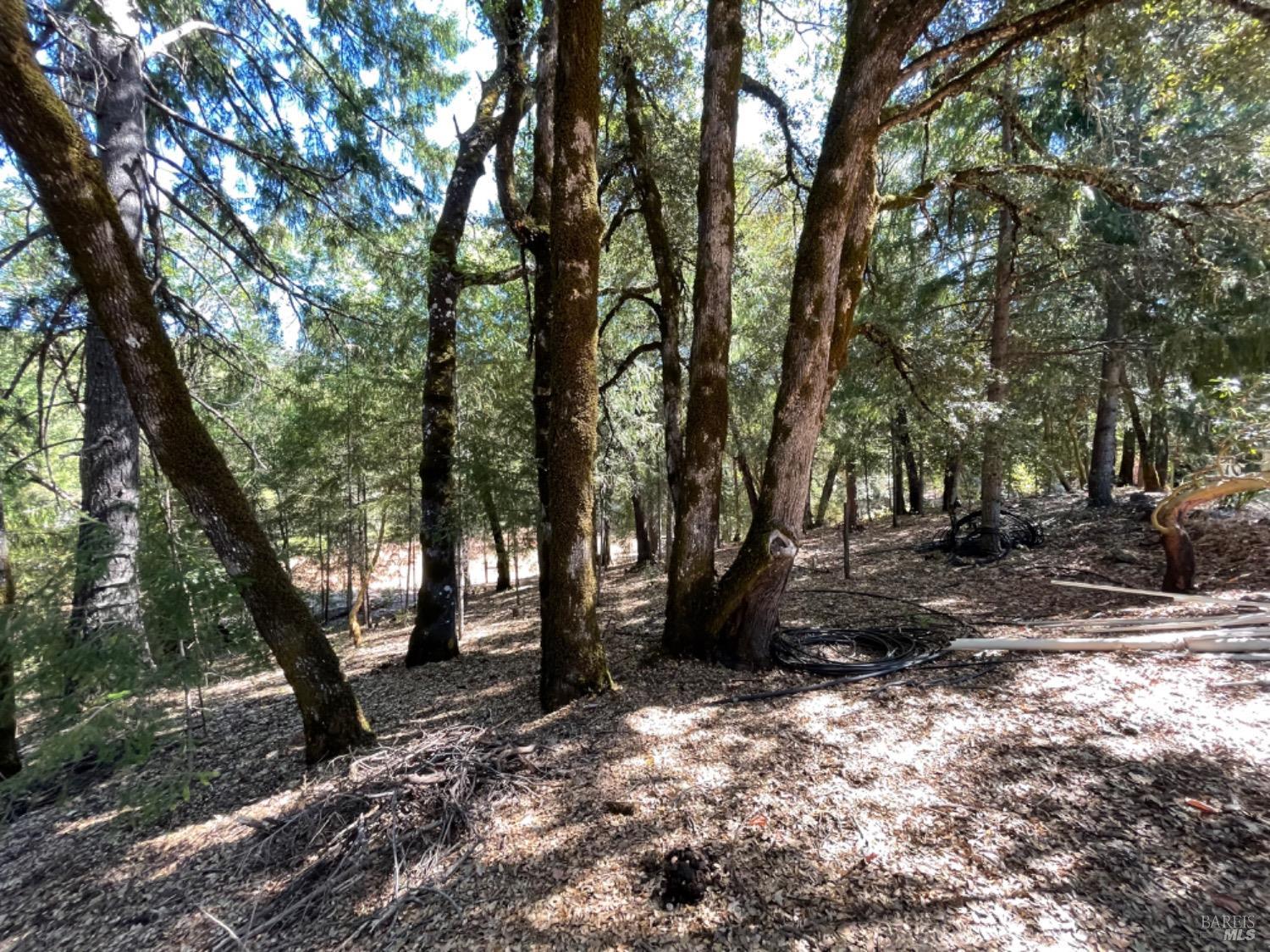 3490 Laytonville Dos Rios Road Laytonville CA 95454