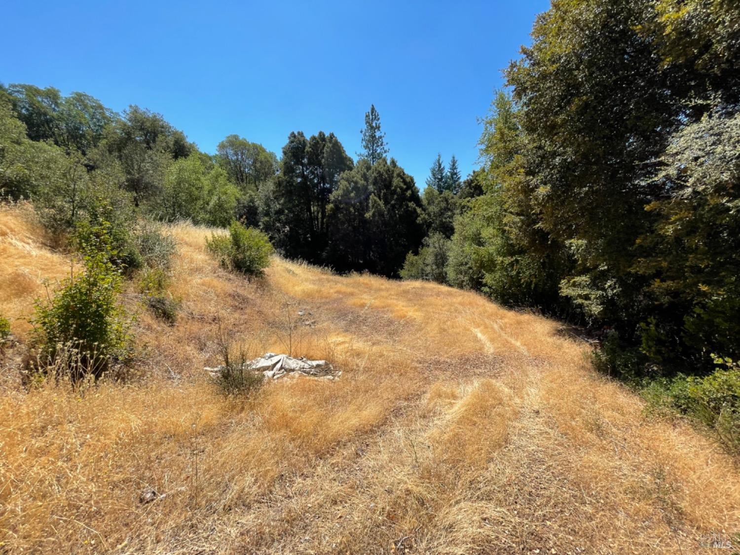 3490 Laytonville Dos Rios Road Laytonville CA 95454