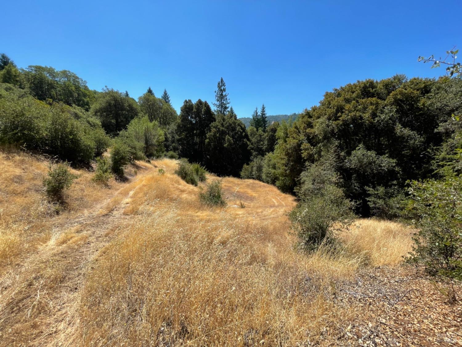 3490 Laytonville Dos Rios Road Laytonville CA 95454