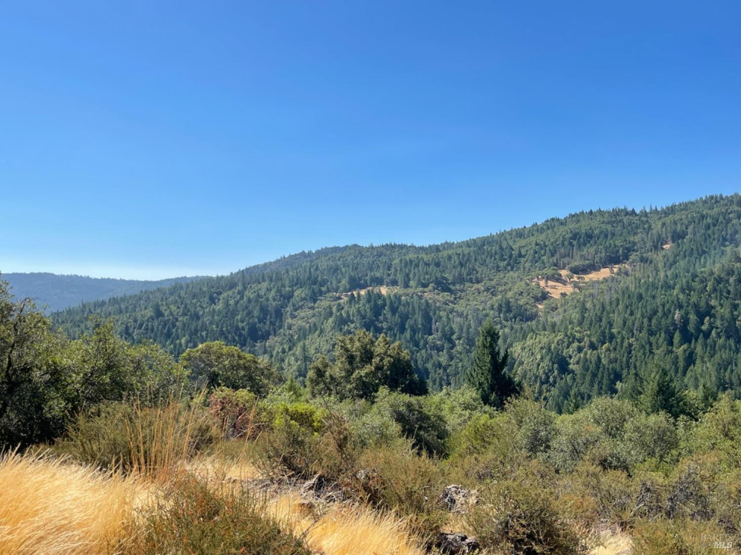 3490 Laytonville Dos Rios Road Laytonville CA 95454