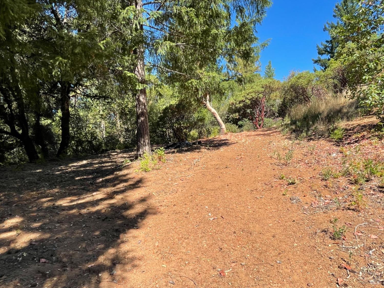 3490 Laytonville Dos Rios Road Laytonville CA 95454