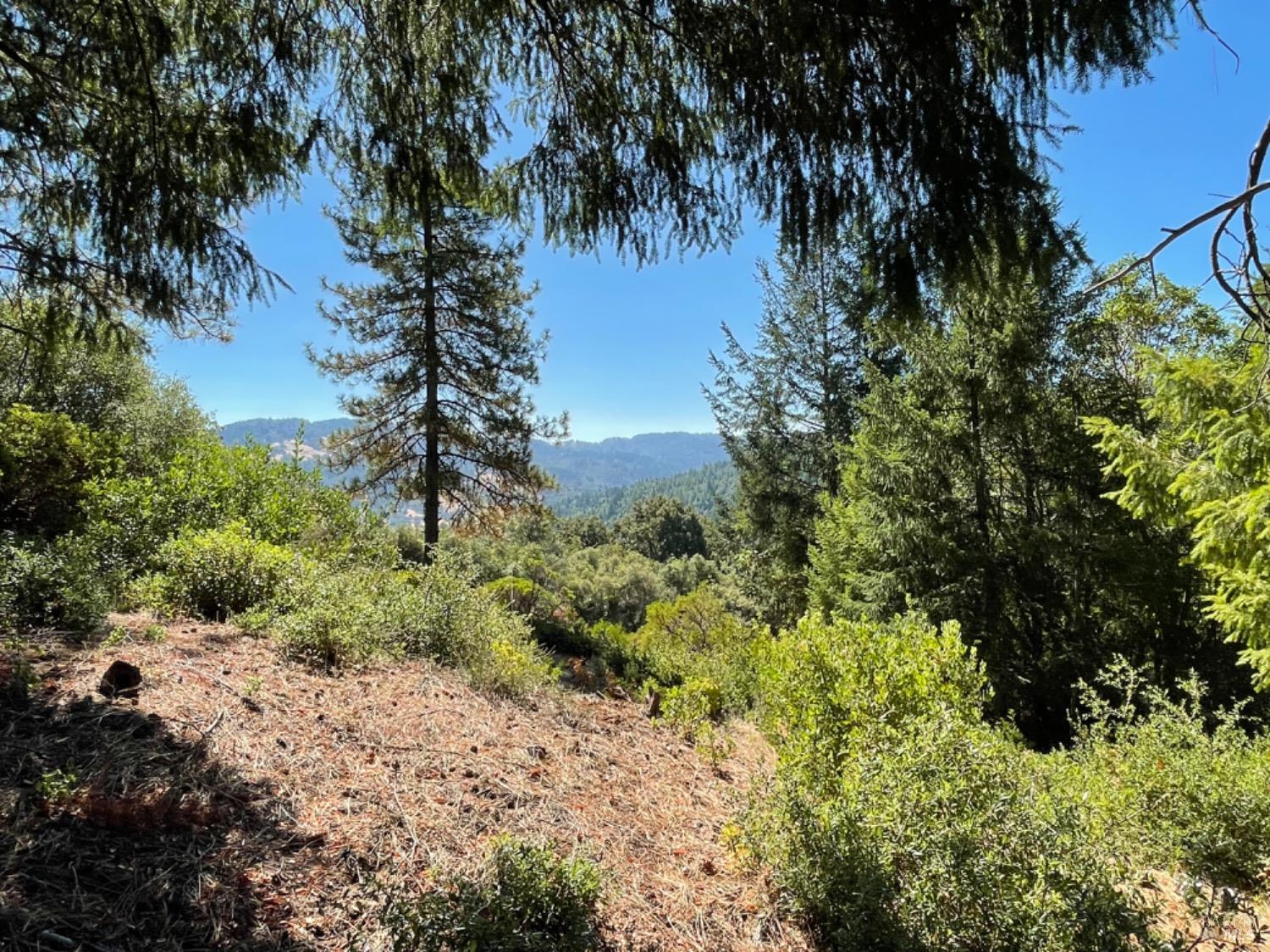 3490 Laytonville Dos Rios Road Laytonville CA 95454