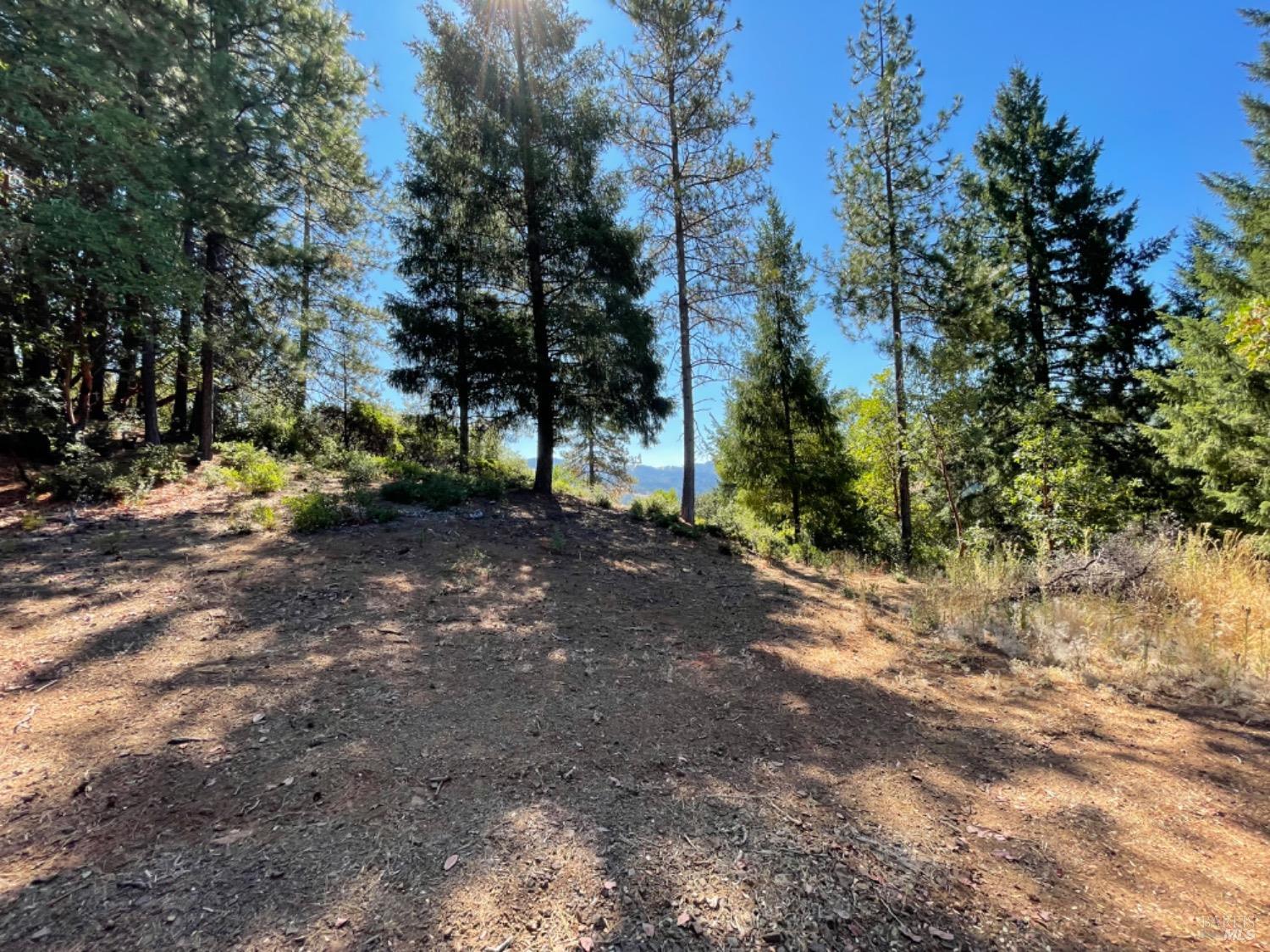 3490 Laytonville Dos Rios Road Laytonville CA 95454