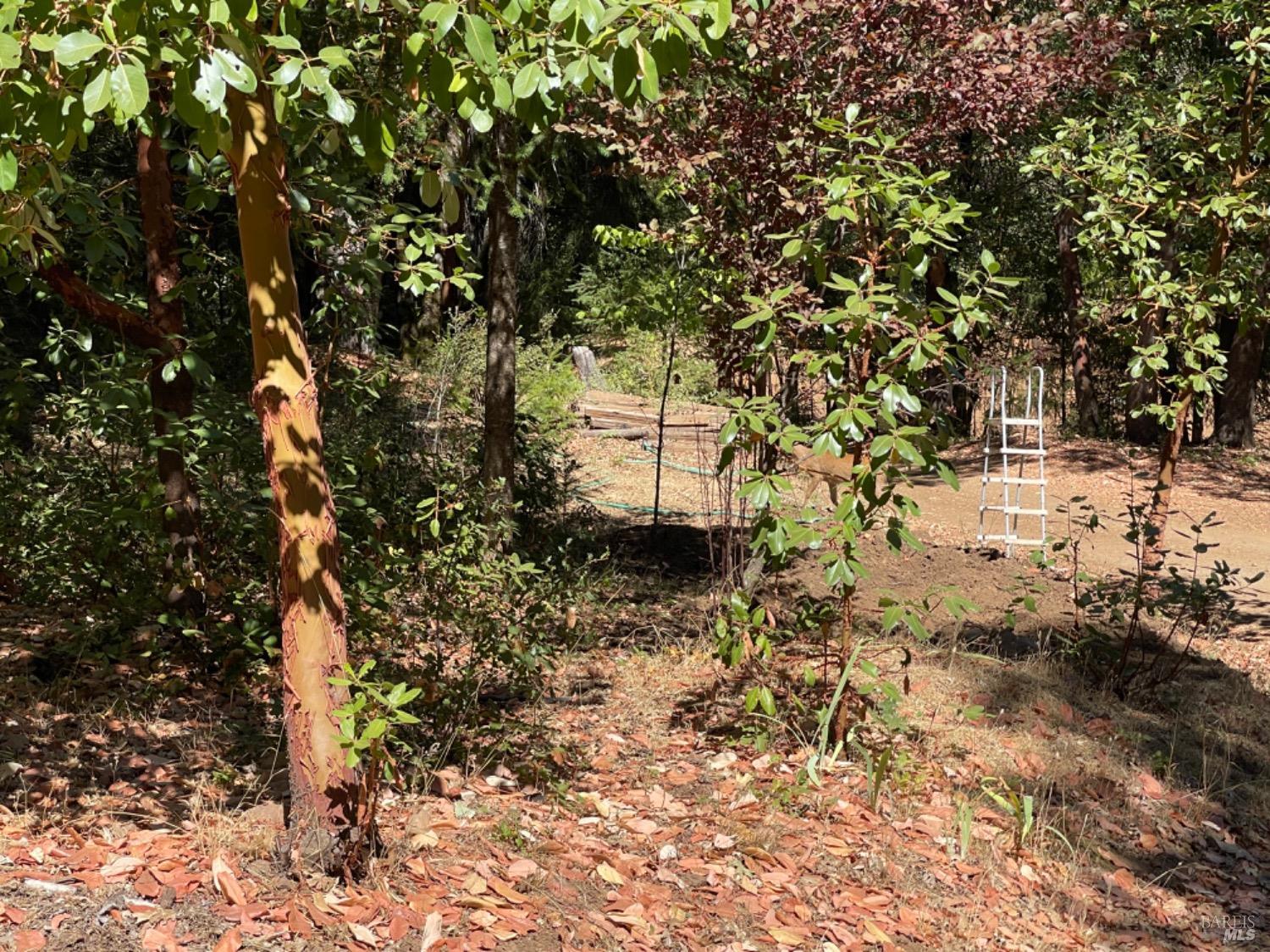 3490 Laytonville Dos Rios Road Laytonville CA 95454