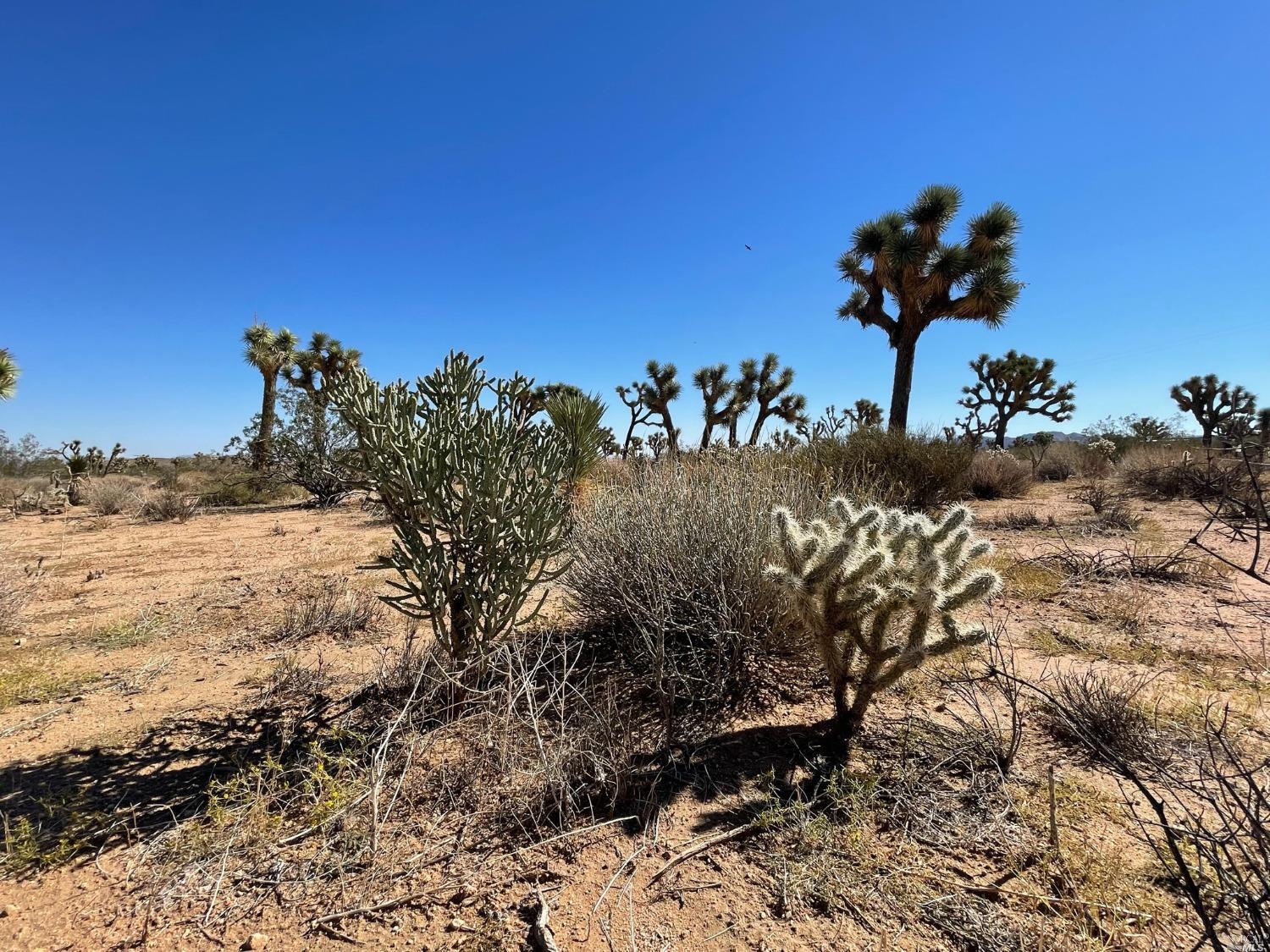 0 Pajara Drive Yucca Valley CA 92284