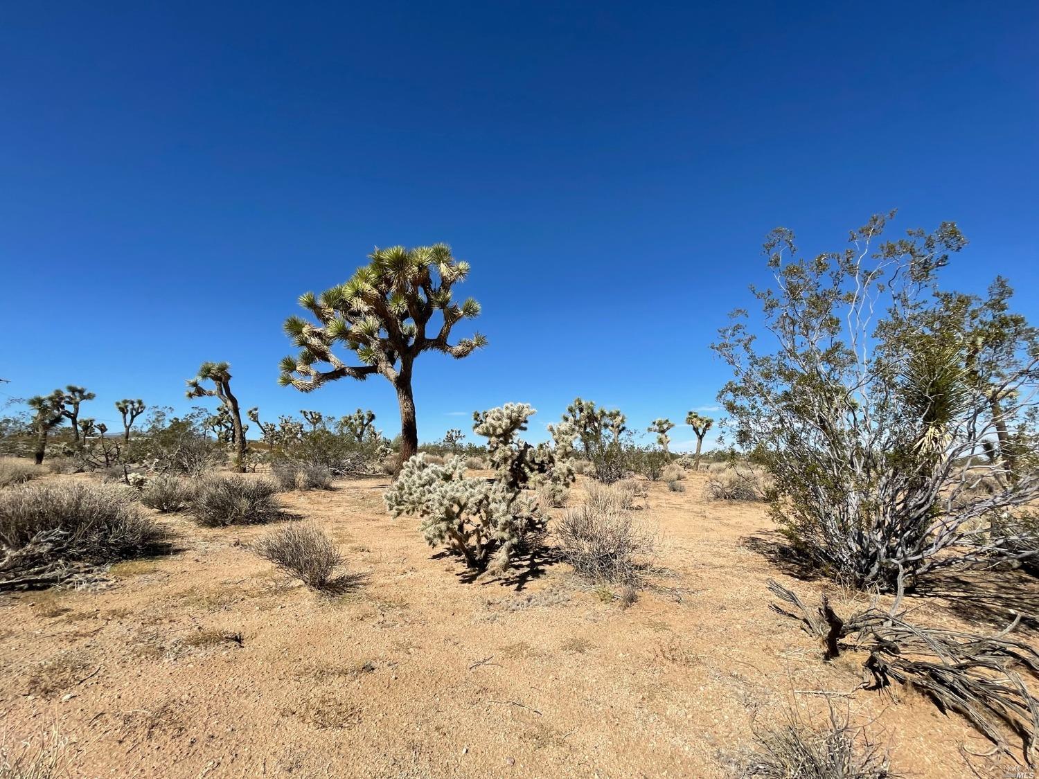 0 Pajara Drive Yucca Valley CA 92284