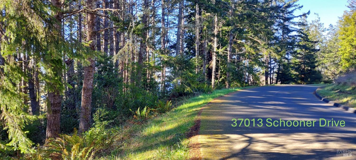 37013 Schooner Drive The Sea Ranch CA 95497