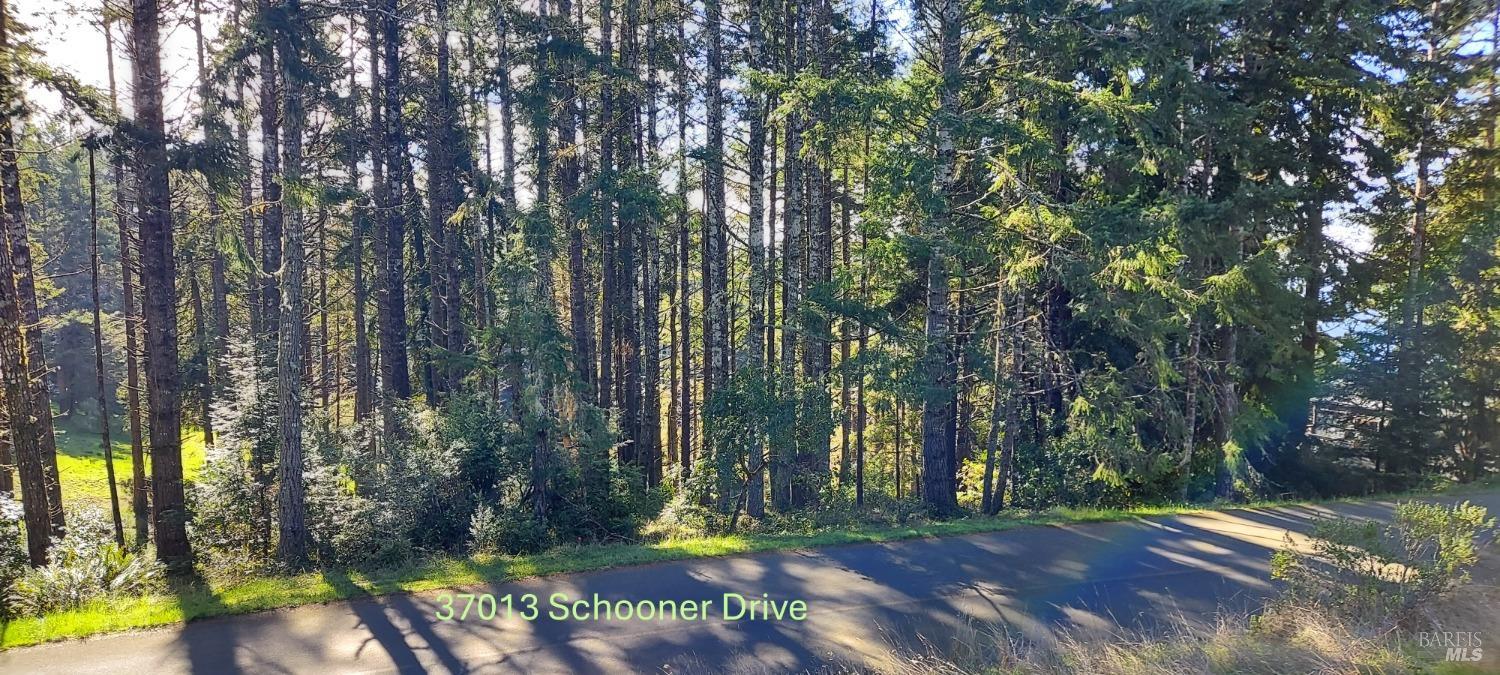 37013 Schooner Drive The Sea Ranch CA 95497