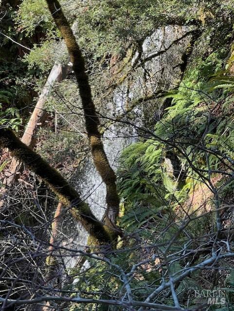 1 Highway 199 Crescent City CA 95538