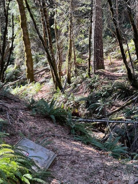 1 Highway 199 Crescent City CA 95538