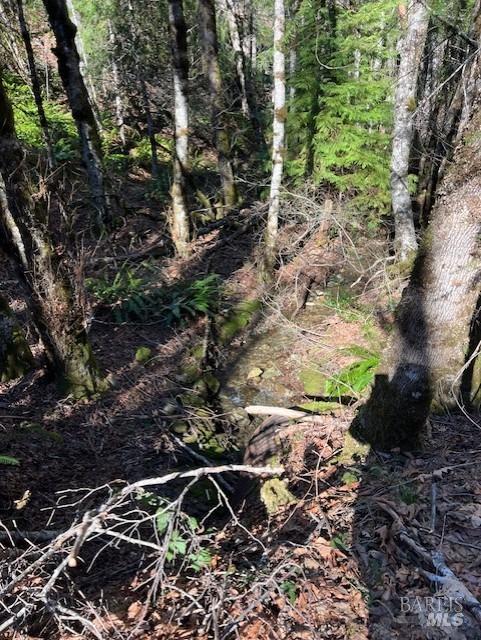 1 Highway 199 Crescent City CA 95538