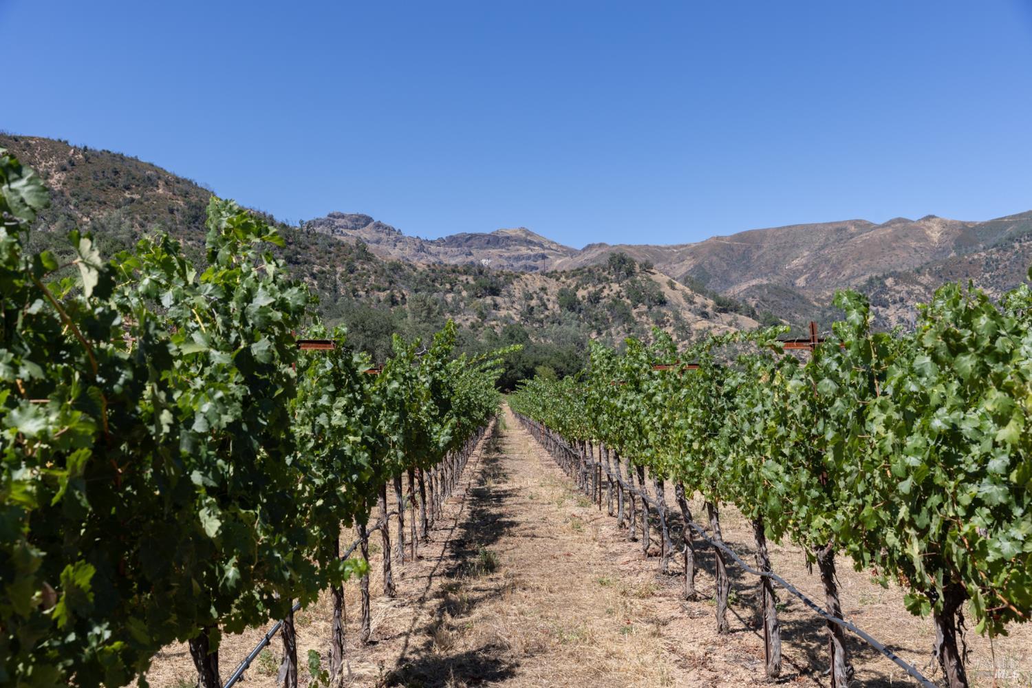 0 Rosedale Road Calistoga CA 94515