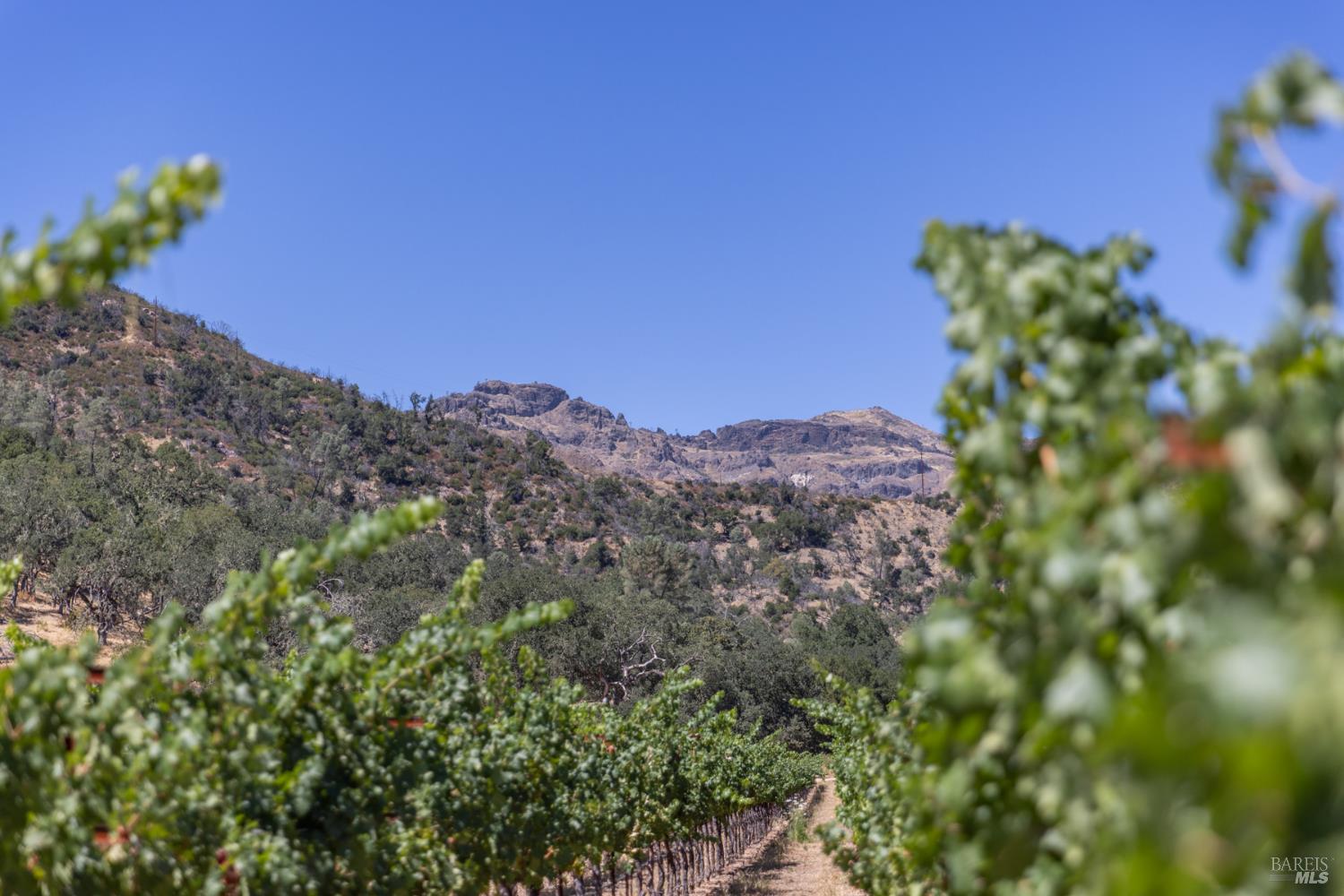 0 Rosedale Road Calistoga CA 94515
