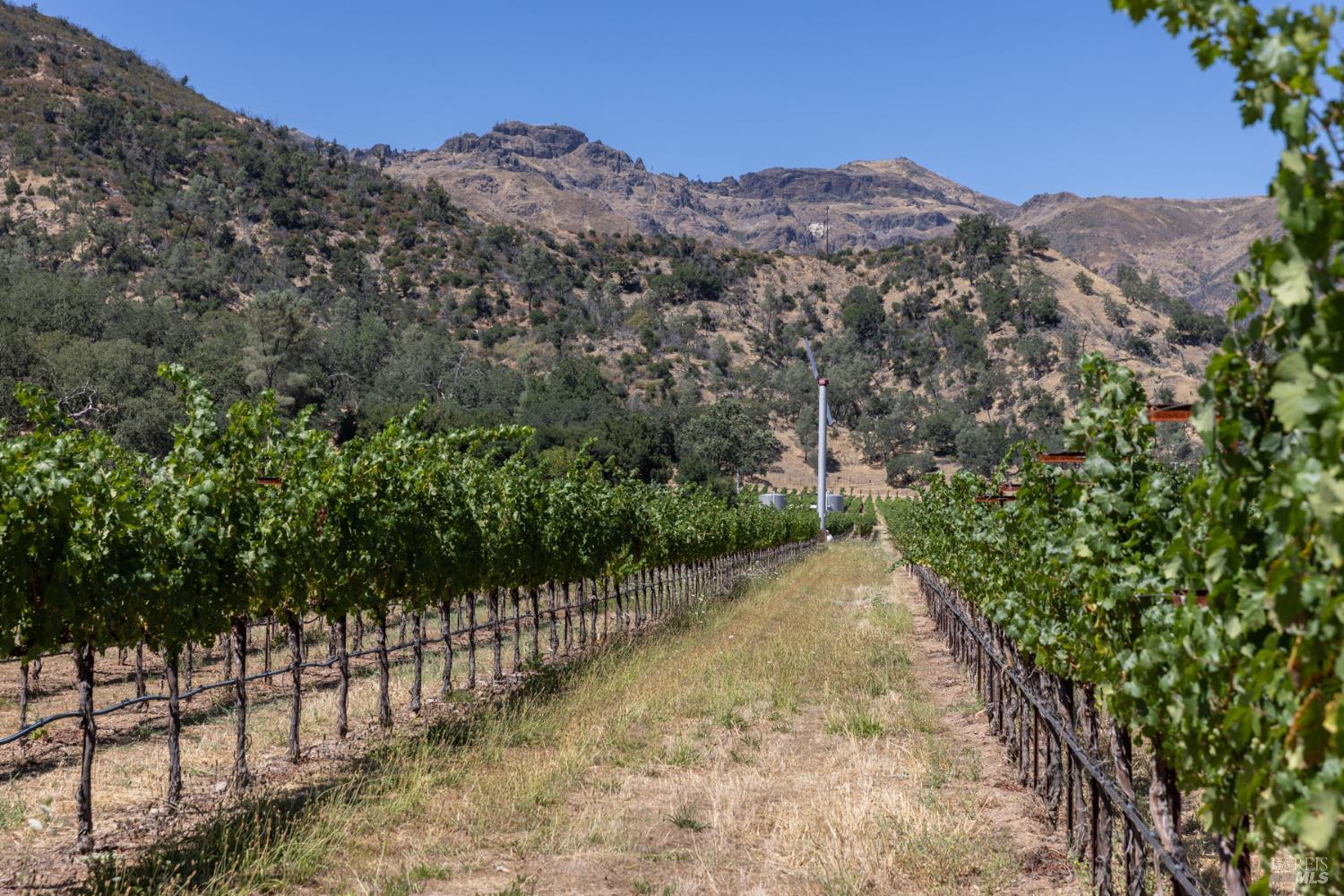 0 Rosedale Road Calistoga CA 94515