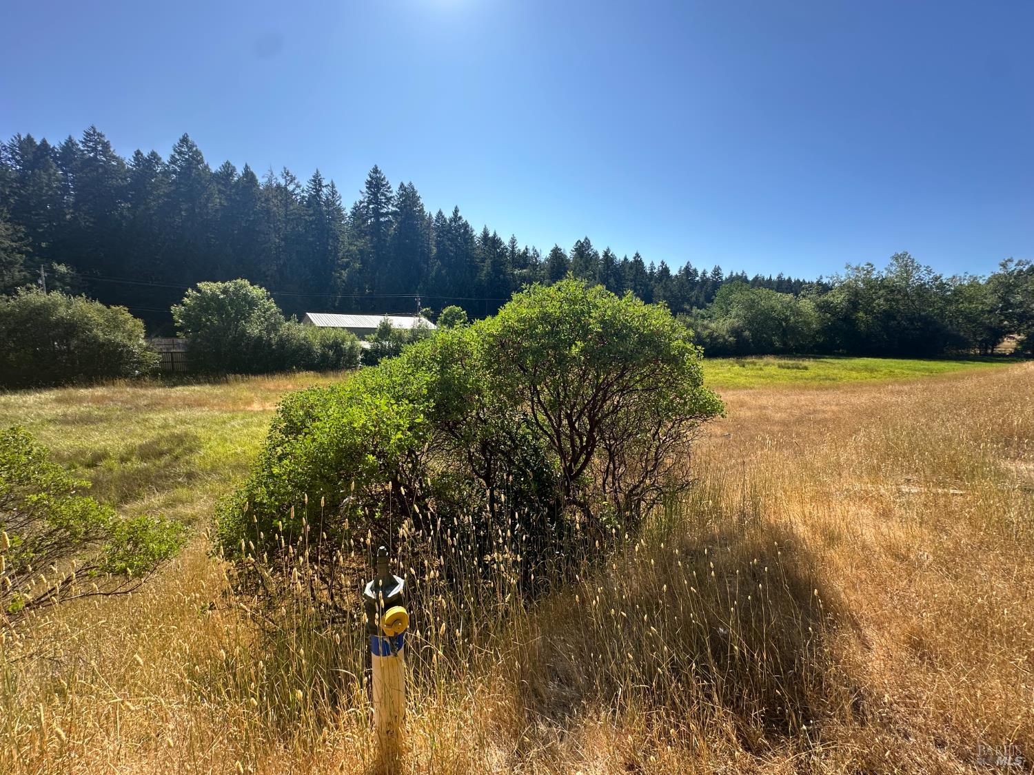 25460 Madrone Way Willits CA 95490