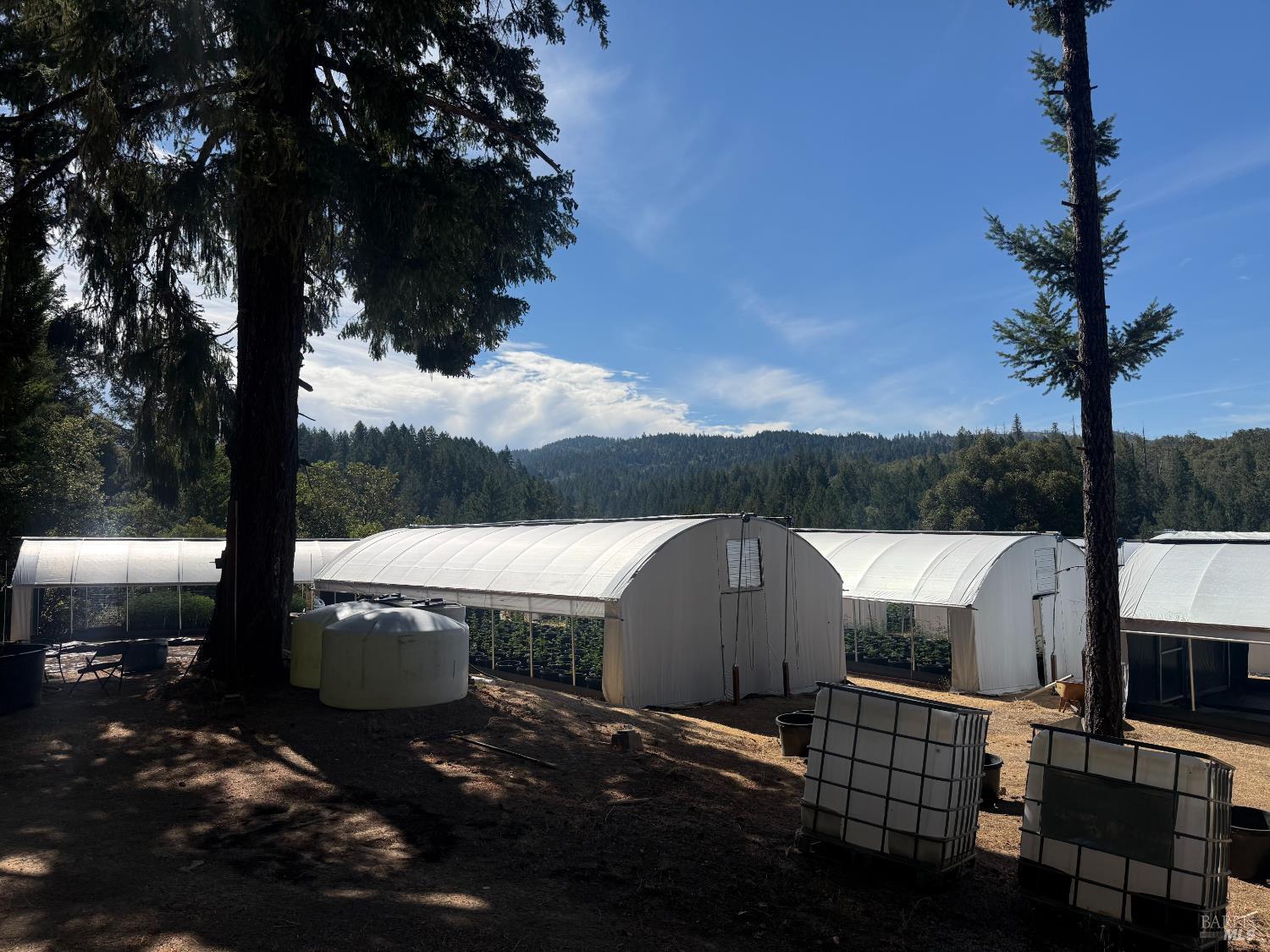 16900 Old Boy Scout Road Willits CA 95490
