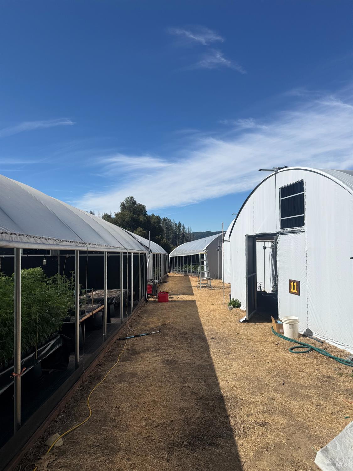 16900 Old Boy Scout Road Willits CA 95490