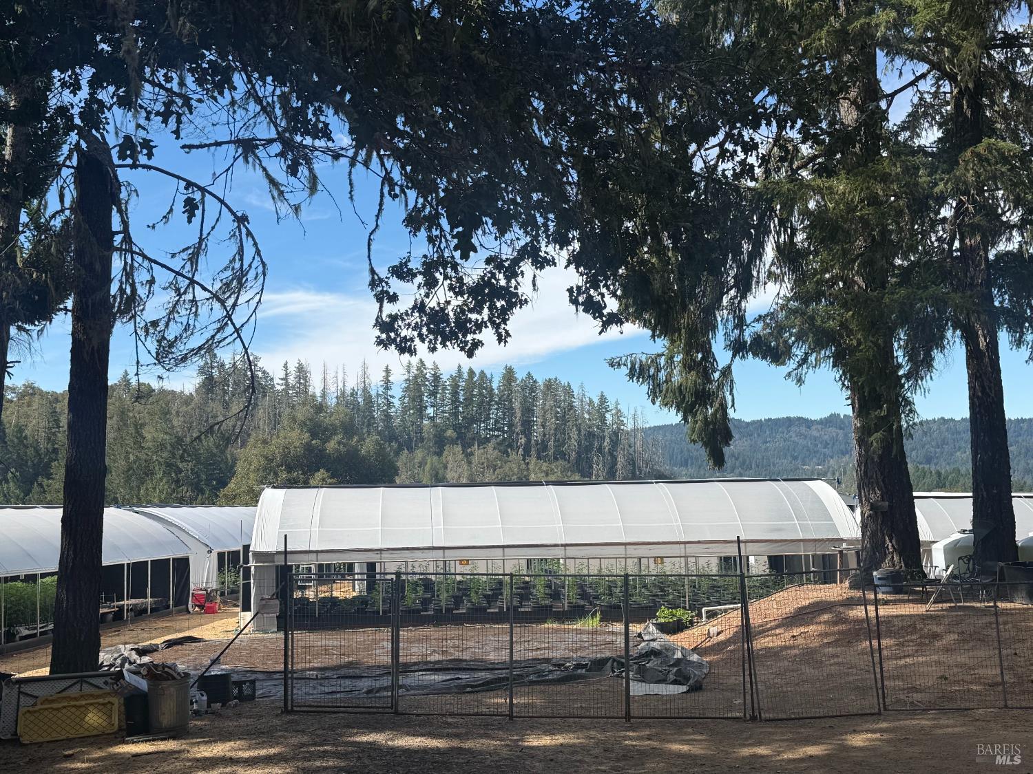 16900 Old Boy Scout Road Willits CA 95490