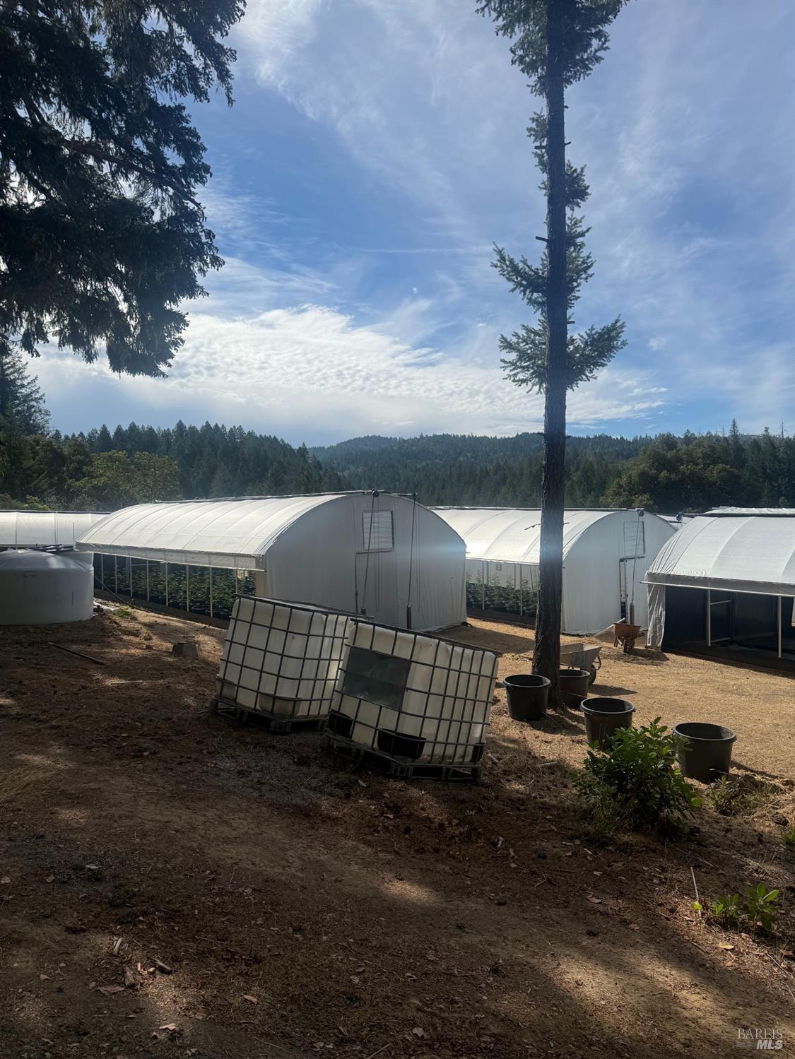16900 Old Boy Scout Road Willits CA 95490