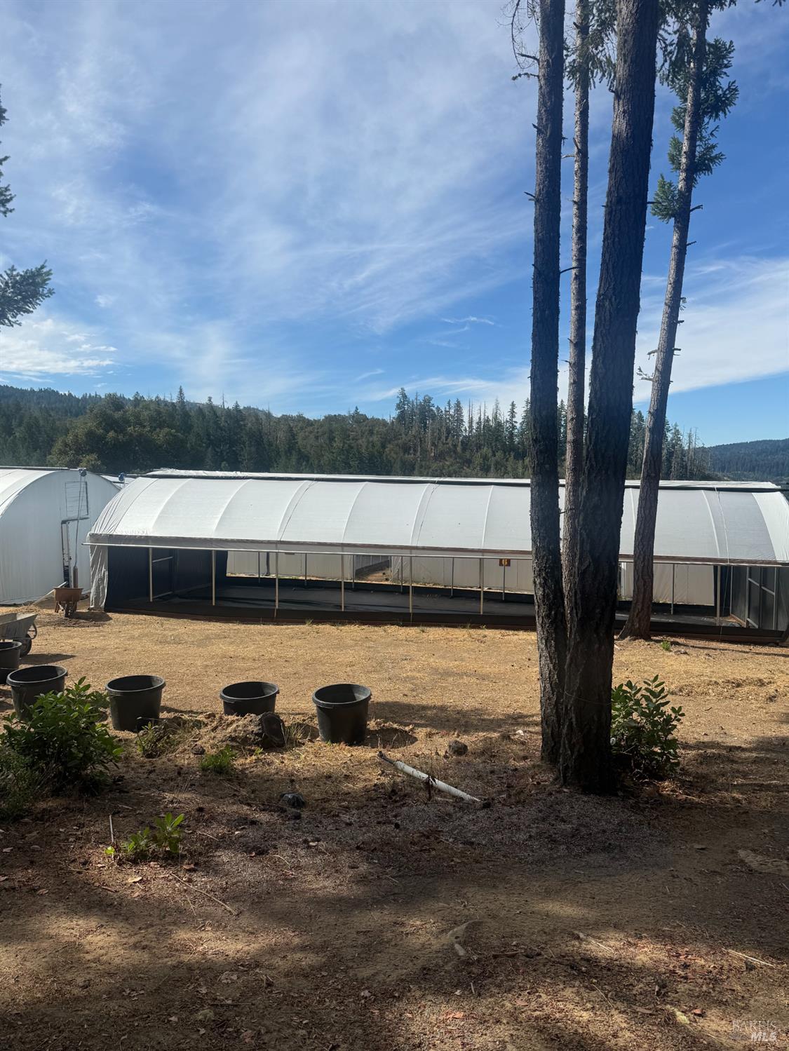16900 Old Boy Scout Road Willits CA 95490