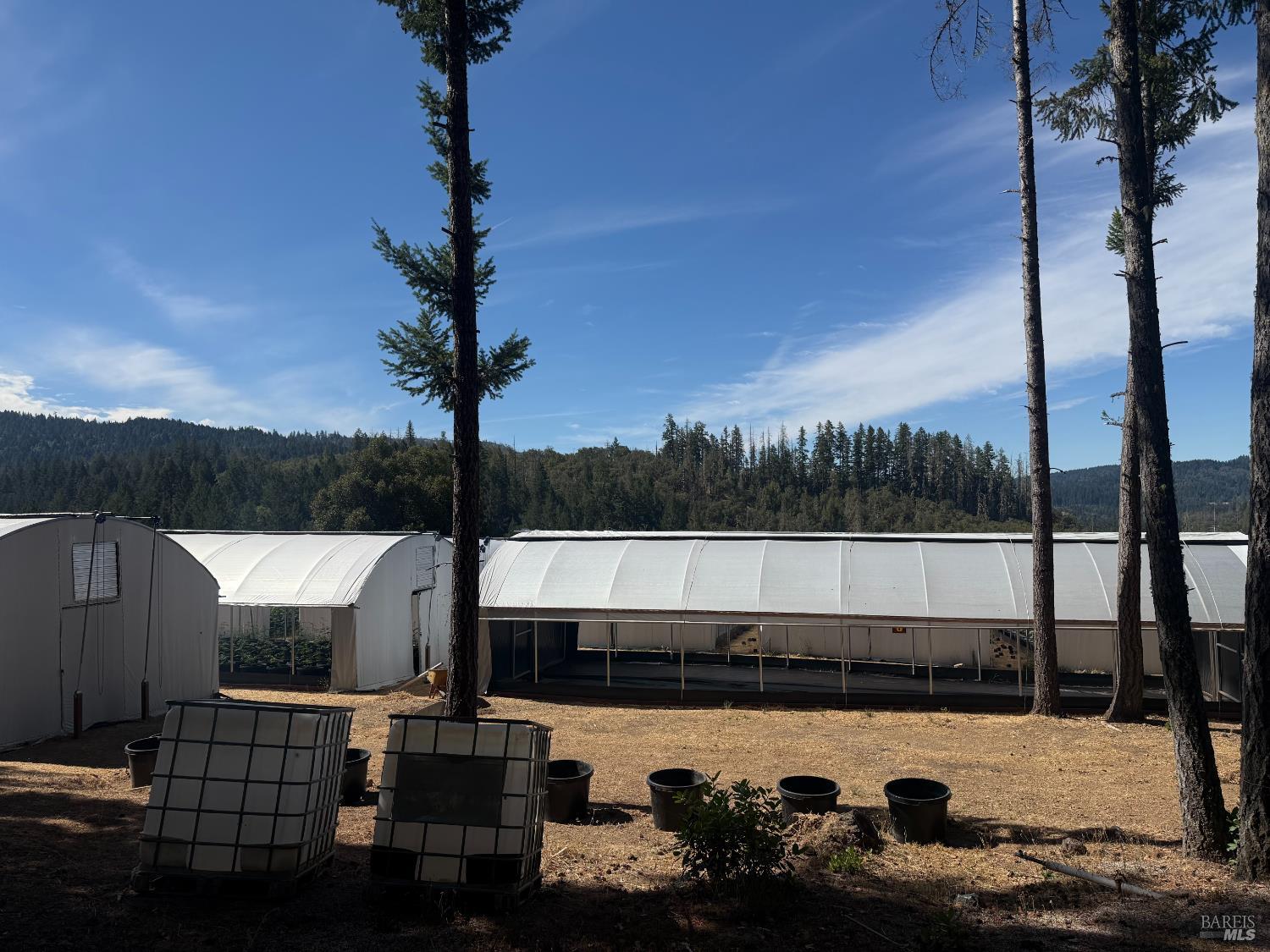 16900 Old Boy Scout Road Willits CA 95490