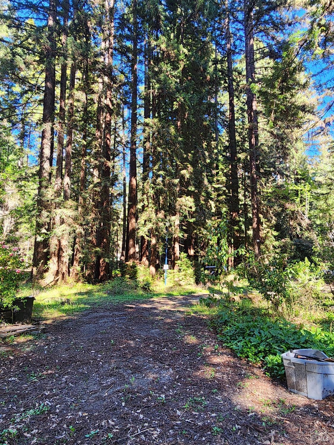 12701 Irmulco Road Fort Bragg CA 95437