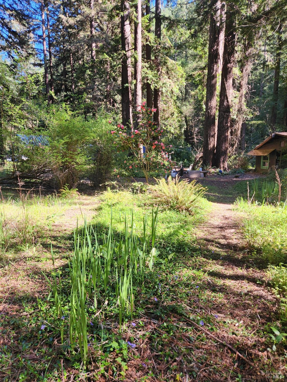 12701 Irmulco Road Fort Bragg CA 95437