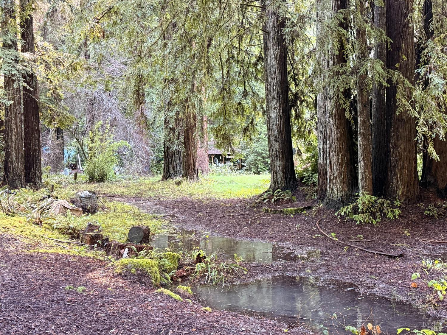 12701 Irmulco Road Fort Bragg CA 95437