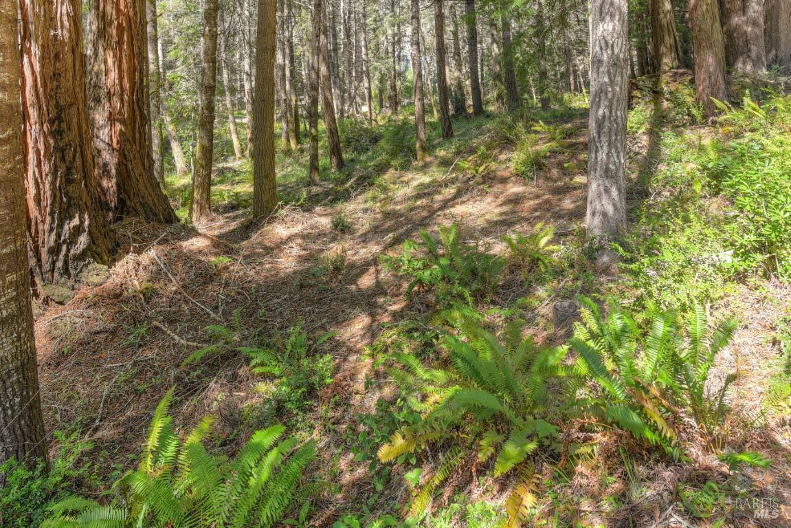 35205 Fly Cloud Road The Sea Ranch CA 95497