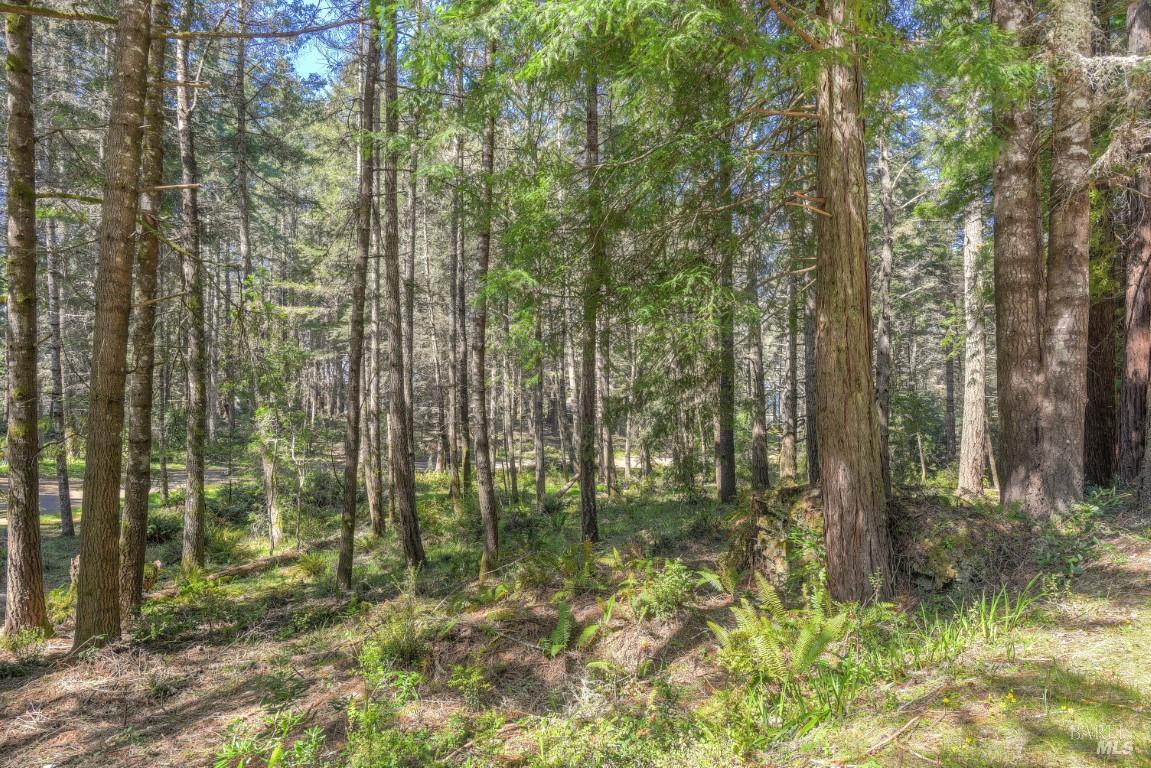 35205 Fly Cloud Road The Sea Ranch CA 95497