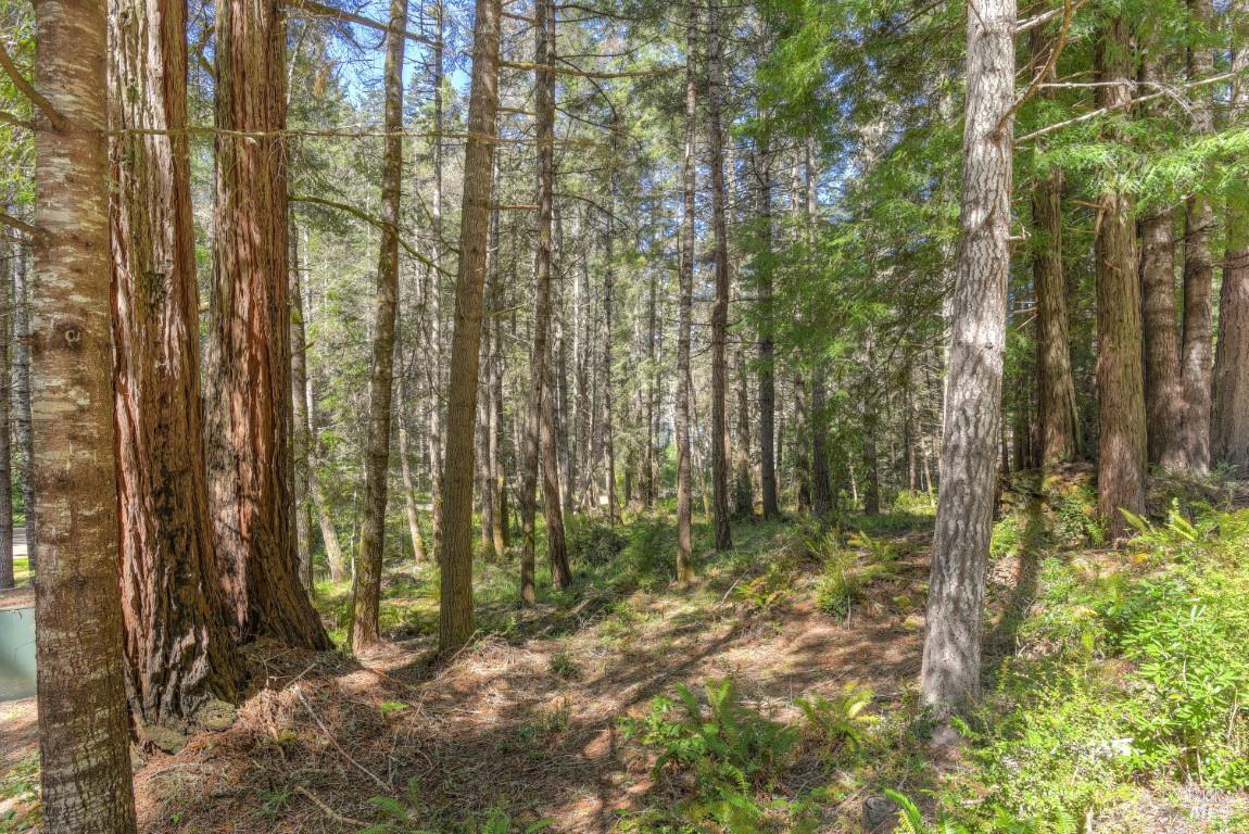 35205 Fly Cloud Road The Sea Ranch CA 95497