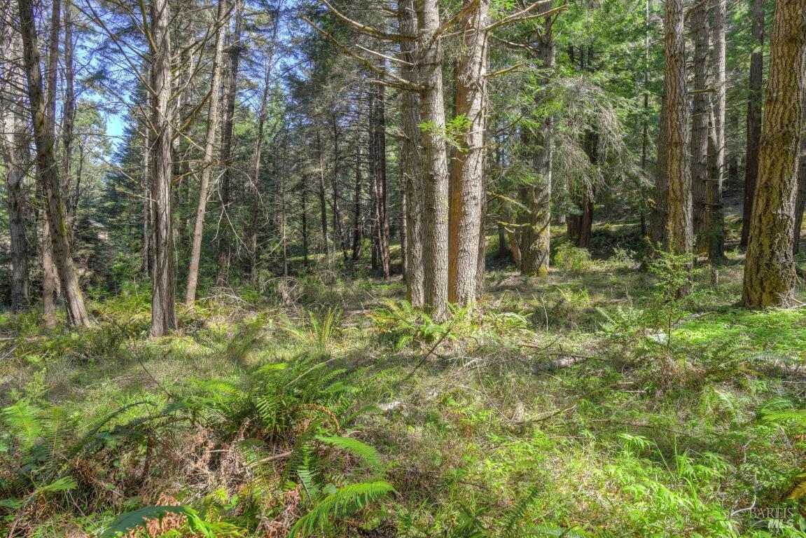 35205 Fly Cloud Road The Sea Ranch CA 95497